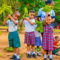 WhatsApp Image 2025-10-03 at 19.41.32 (1)