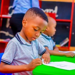 WhatsApp Image 2025-10-03 at 19.41.41